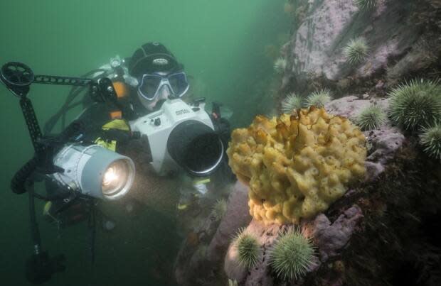 Torben Brydges/Fisheries and Oceans Canada