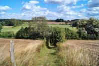 Geprägt durch die Gletscherschmelze der letzten Eiszeit ist das Biosphärenreservat Schorfheide-Chorin nordöstlich von Berlin. Daraus entstanden viele Seen, Moore und ausgedehnte Wiesen. Schorfheide-Chorin hat wenig Einwohner und bietet auch deshalb gefährdeten Tierarten einen sicheren Lebensraum. Seltene Nutzpflanzen wie alte Getreide-, Kartoffel- und Obstsorten werden dort ebenfalls kultiviert. (Bild: iStock/-RoMy-)