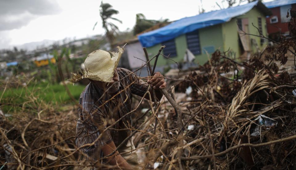 A man clears destroyed tree branches in a neighborhood in San Isidro, Puerto Rico, that's been without grid electricity for weeks. Eighty percent of the island hasn't had power for more than a month. (Photo: Mario Tama via Getty Images)