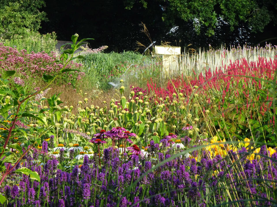 9. Give prairie-style planting a go