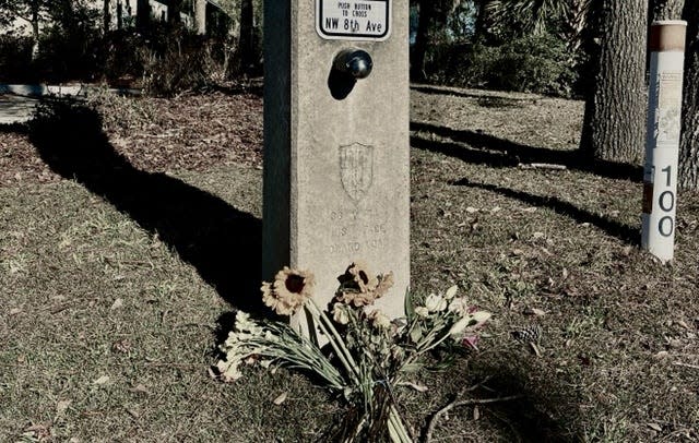 Dead flowers are propped on a concrete pole near where University of Florida graduate student Sabrina Obando, 22, while struck in the crosswalk by a pickup and killed while crossing Eighth Avenue.