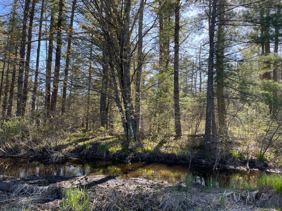 The Olive and Robert ‘Vic’ Wildlife Preserve was donated to the town by Keith Lessard in honor of his parents.