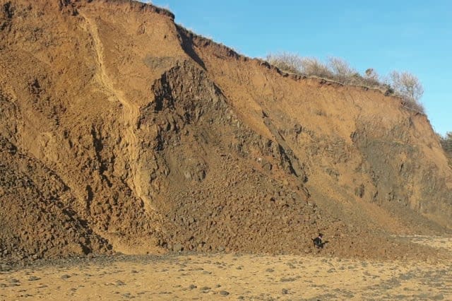 Dog-walker captures shocking moment huge chunk of cliff face crumbles away before his eyes - just feet away from him and dogs