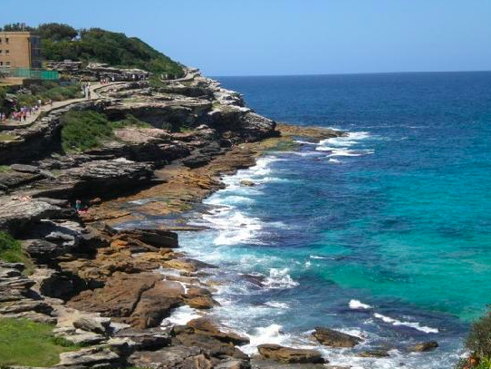The views on the Bondi to Coogee coastal walk have made it infamous. Source: TripAdvisor
