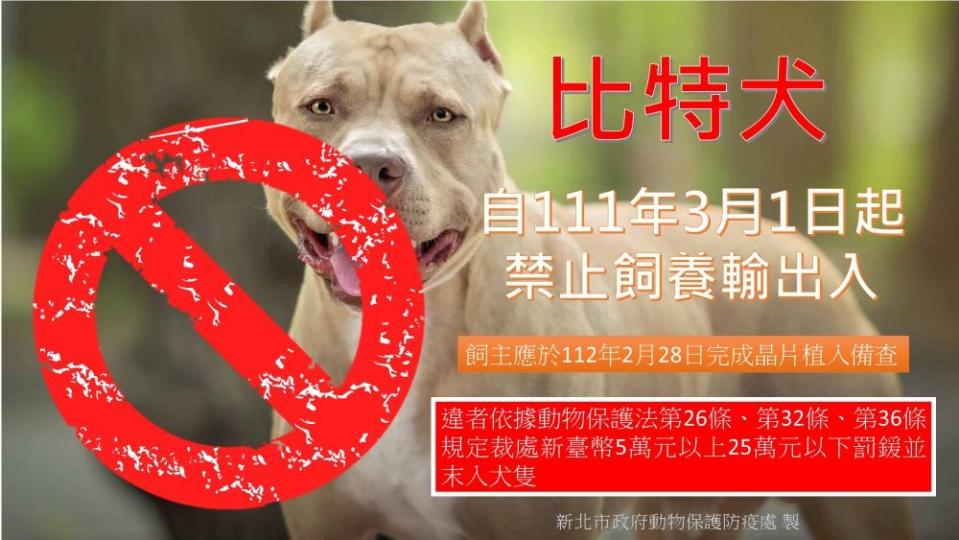 《圖說》行政院農委會公告111年3月1日起禁止飼養比特犬，針對已飼養的飼主應於今年2月28日前辦理寵物登記，完成備查。〈動保處提供〉