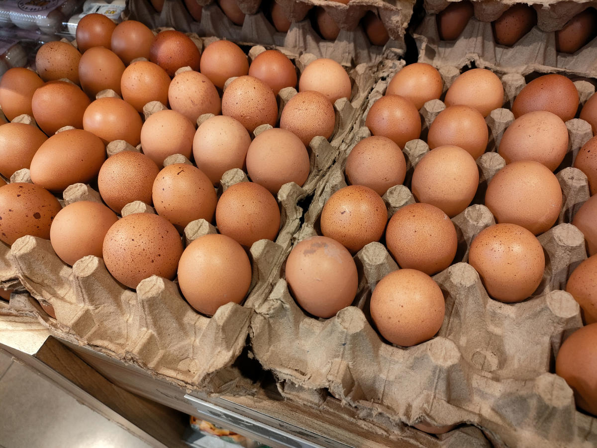 Is it safe to eat eggs and chicken during bird flu?