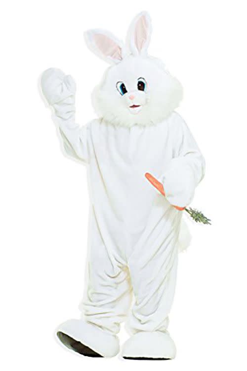 Plush Bunny Rabbit Costume