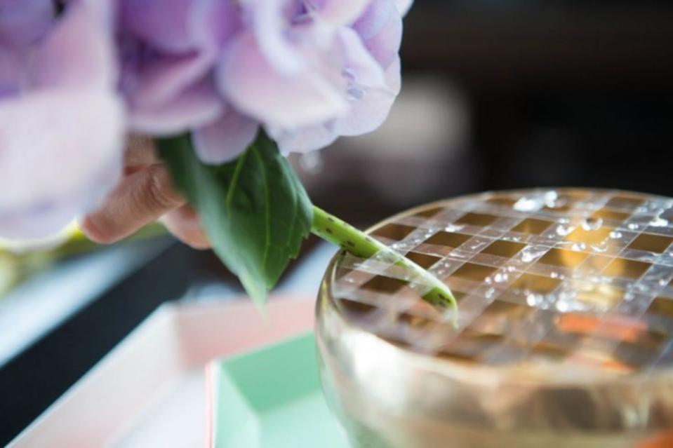 a person holding a plant in a glass jar