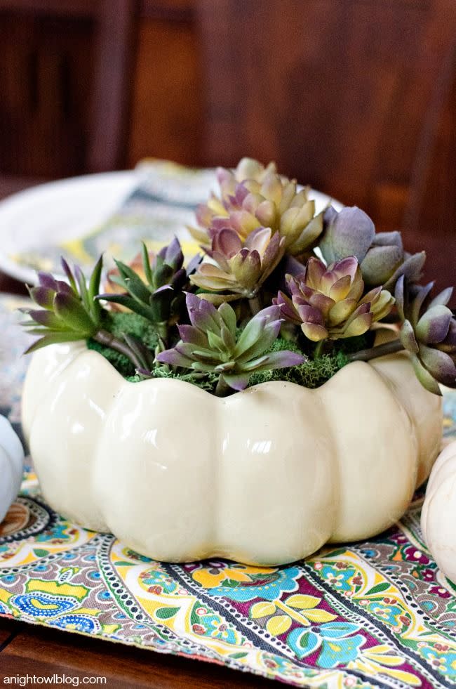 Succulent Centerpiece