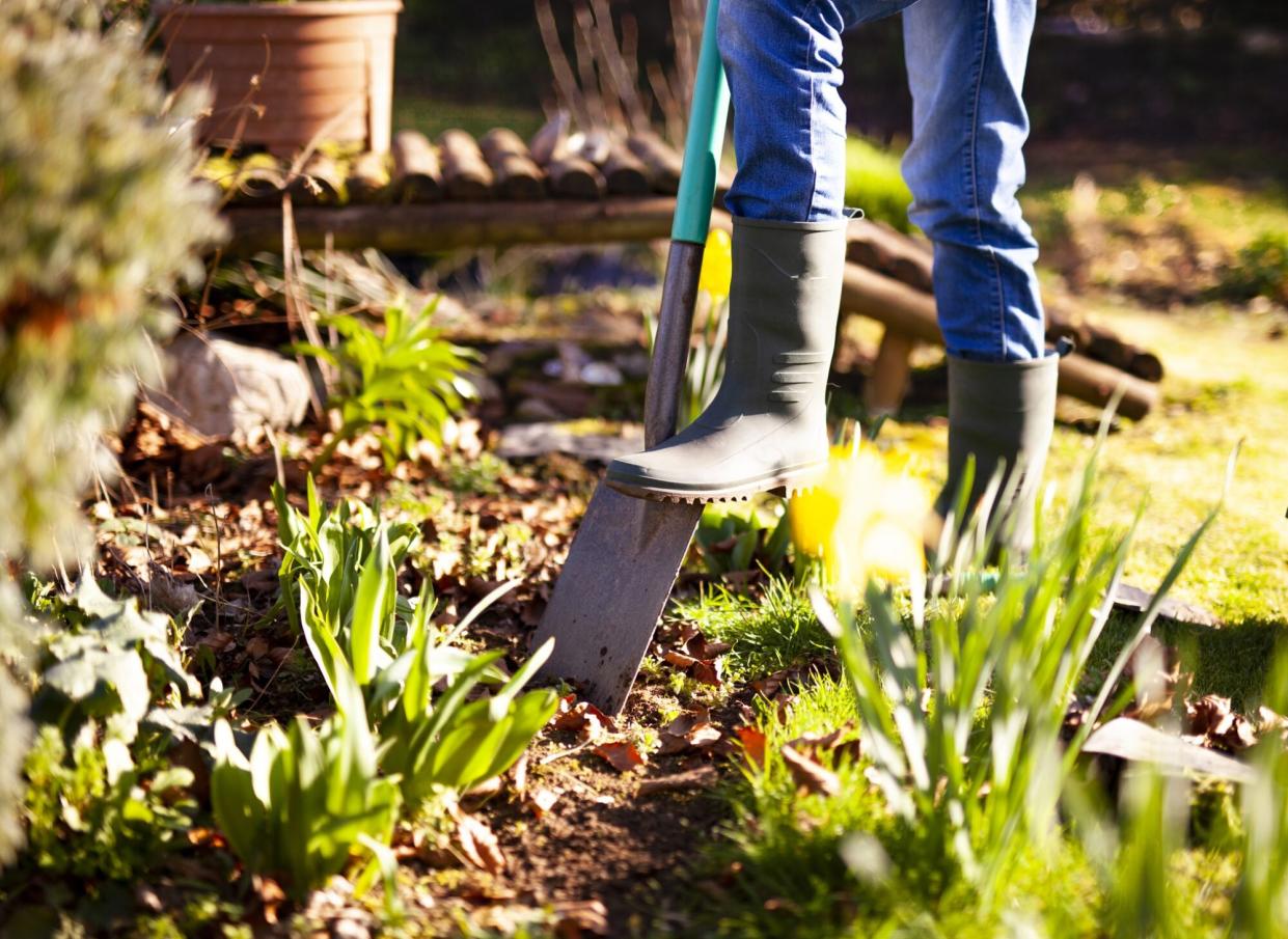 gardening