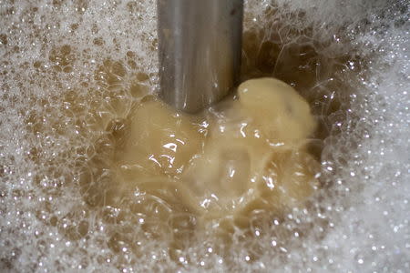 FILE PHOTO: Bubbles arise during a process in which carbon dioxide is emitted from beer