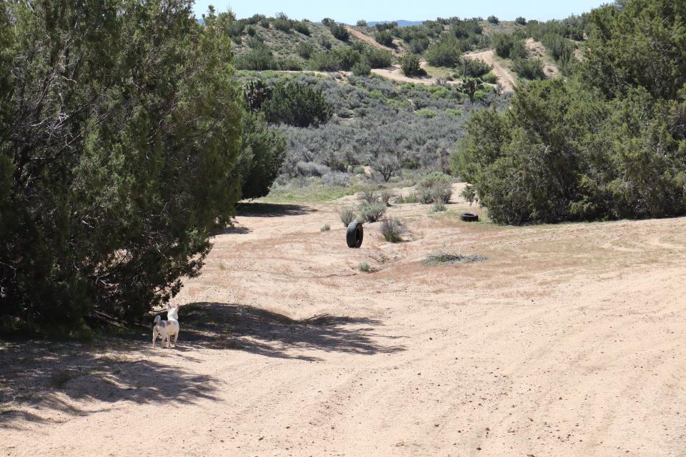 Having some tire rolling fun mid-walk on a trail in Honda Valley.