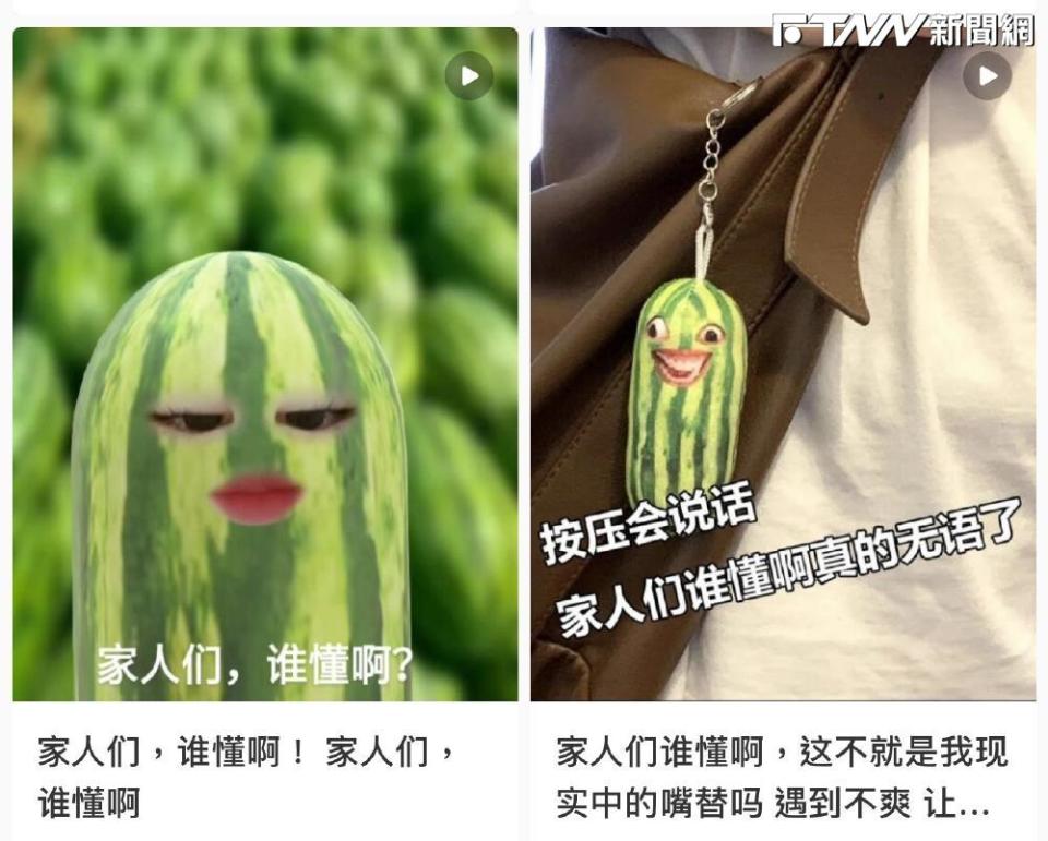 受到中國流行風氣影響，帶動台灣時下正夯的網路流行用語一直在變，「家人們誰懂啊」讓一票網友大感煩燥。（圖／翻攝小紅書）