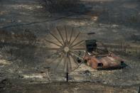 The remains of a destroyed home after the Blue Cut Fire passed through a rural community near Wrightwood, California