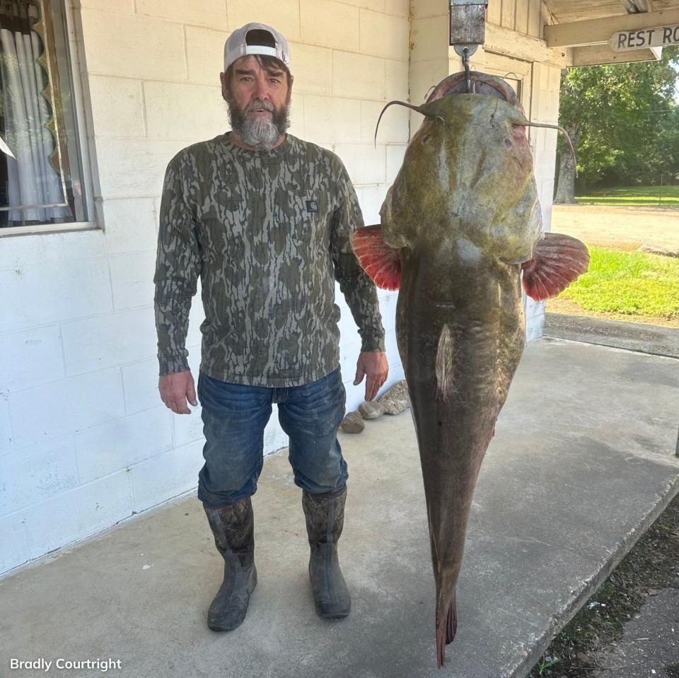 Bradly Courtwright of Oklahoma holding a 95-pound flathead catfish he caught in May 2024.