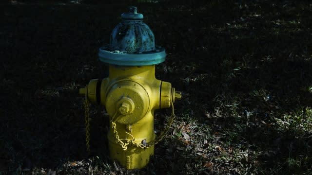 A fire hydrant in Pritchard, Alabama