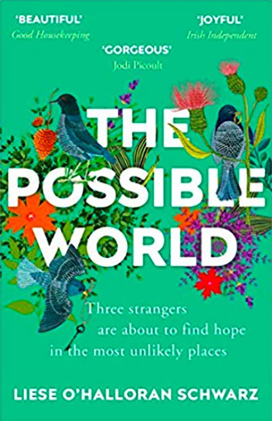 The Possible World by Liese O'Halloran Schwarz