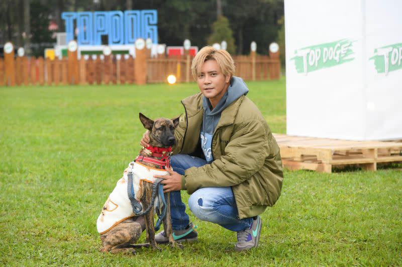 ▲羅志祥參與實境秀《TOP DOG》，照顧浪浪辛芭。（圖／三立提供）