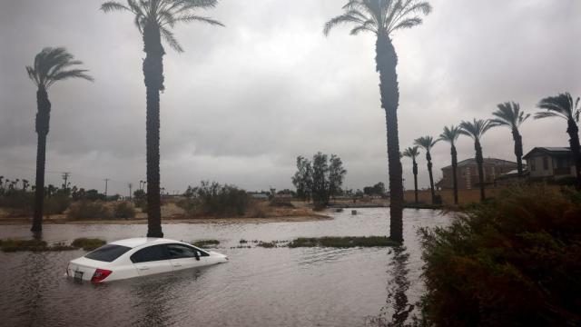 Video showing storm Hilary flooding Los Angeles Dodgers baseball