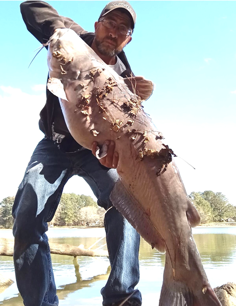 Ivan Garren caught this big catfish in the spring in Wolftever Creek in Hamilton County.