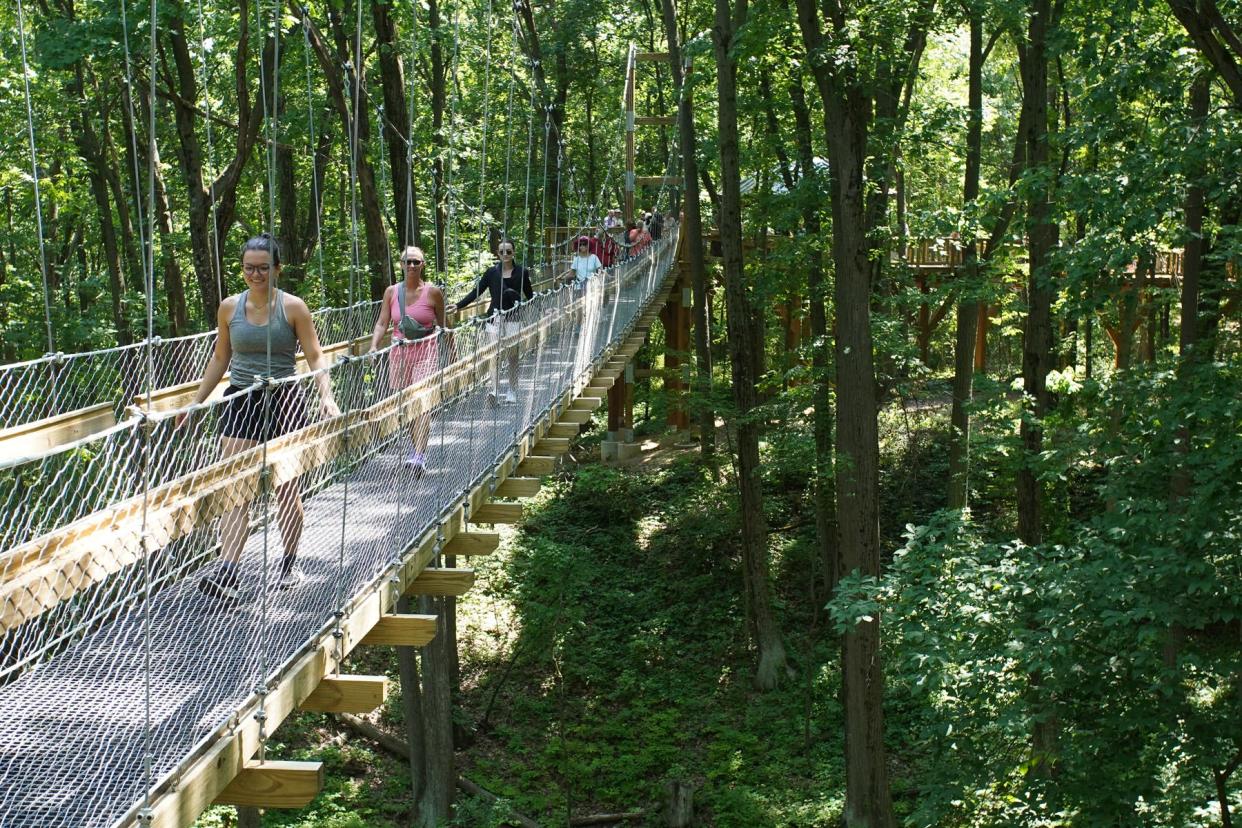 Hidden Lake Gardens guests cross the Reach for the Sky Canopy Walk's suspension bridge June 20. Hidden Lake Gardens received the Greater Lenawee Chamber of Commerce's 2024 Beautification Award for the canopy walk project.