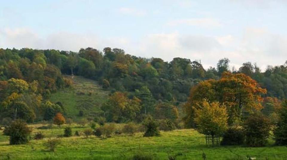 Take a trek through autumnal woodland (Judith Parry)