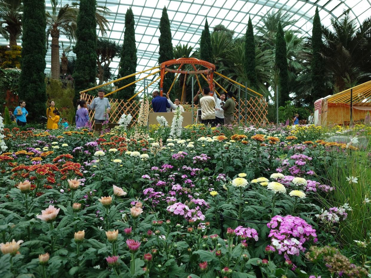 In collaboration with the Embassy of Mongolia in Singapore, Gardens by the Bay presents a cultural-inspired floral display running from 29 September to 13 November.