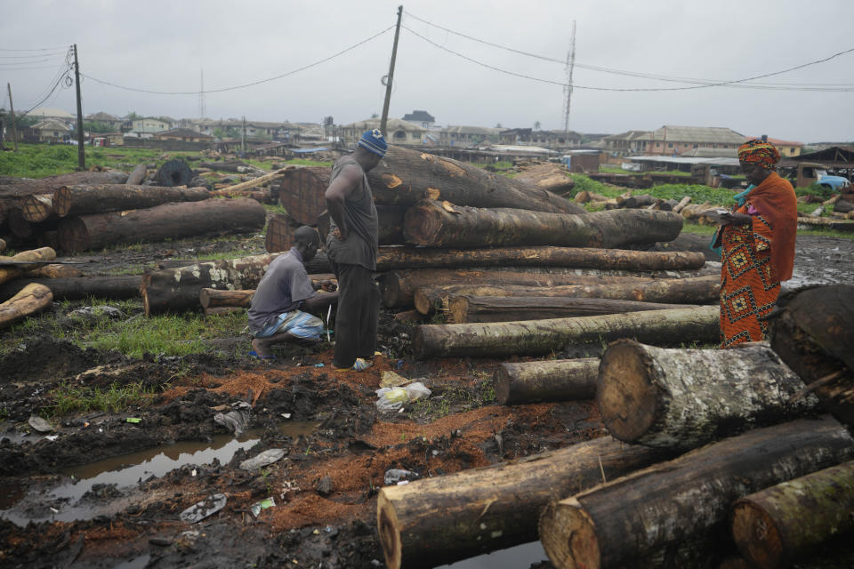 People look over timber, some of which came from the Omo Forest Reserve, to be sold at a market in Ijebu-Ode, Nigeria, on Tuesday, Aug. 1, 2023. Conservationists say the outer region of Omo Forest Reserve, where logging is allowed, is already heavily deforested. As trees become scarce, loggers are heading deep into the 550-square-kilometer conservation area, which is also under threat from uncontrolled cocoa farming and poaching. (AP Photo/Sunday Alamba)