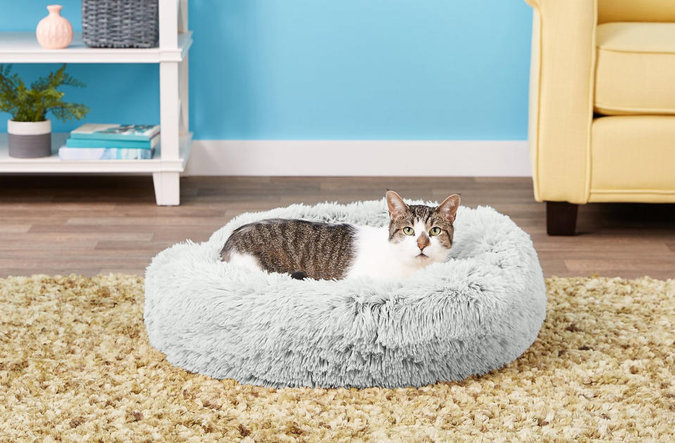 This orthopedic bed is packed with extra filling to provide relief for sore joints and muscles and has a bolstered edge for additional support. (Photo: Chewy)