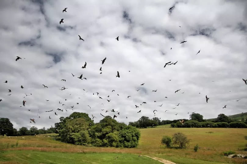 It's an awe-inspiring sight -Credit:iStock / Getty Images Plus