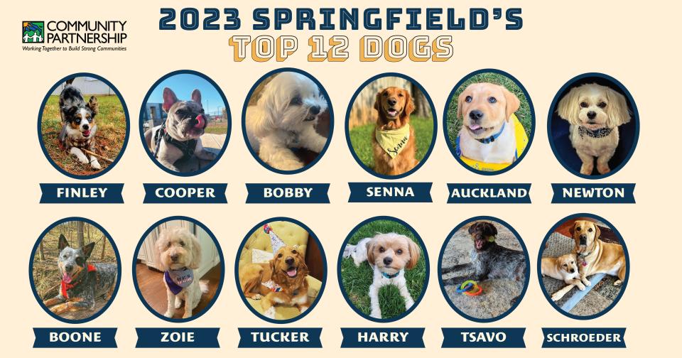 Community Partnership of the Ozarks hosted its second annual Springfield's Top Dog competition this year. The top 12 dogs, voted on by the public, will be featured in the Springfield's Top Dog 2024 calendar, available in late fall 2023.
