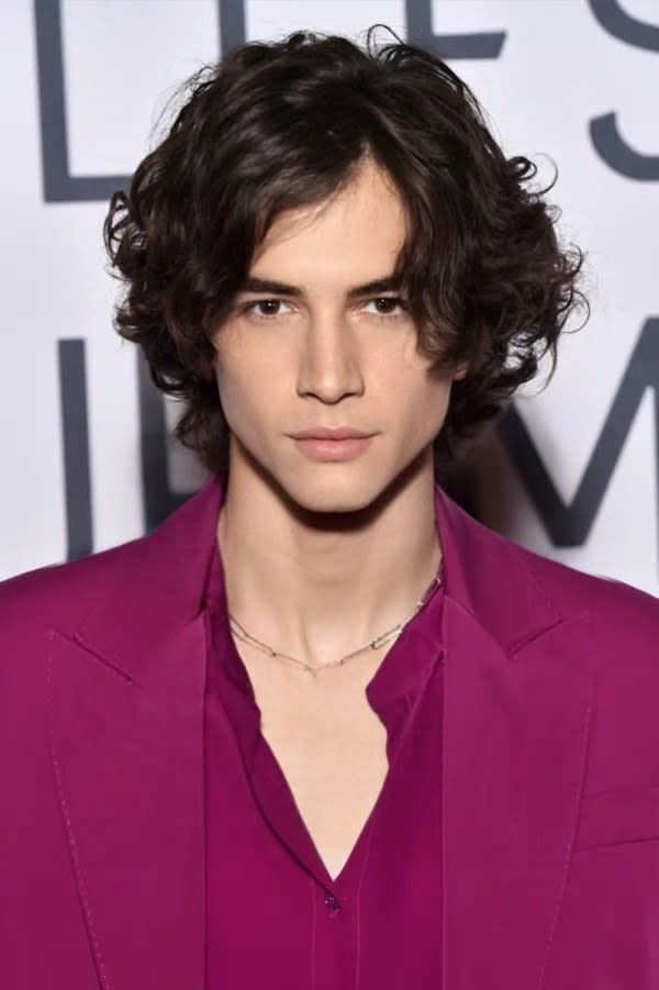 Timothée Chalamet and Keanu Reeves morphed together