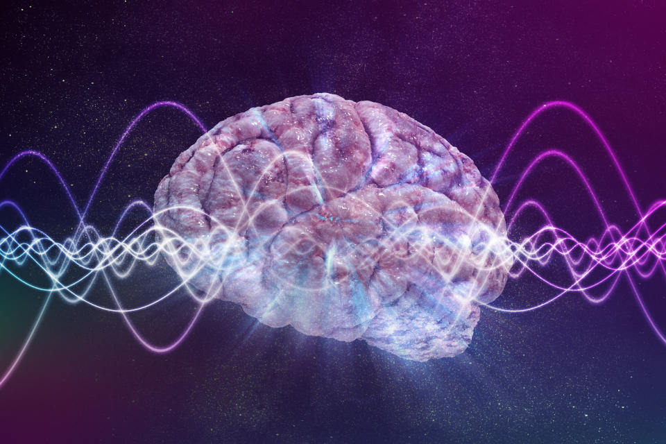 scientists reversed death slightly by restoring brain waves
