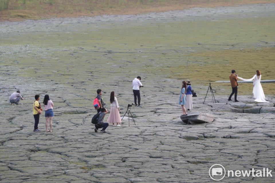 日月潭大竹湖進水口一帶湖底裸露、白色的枯木浮現、淤泥龜裂甚至長出青草，乾旱的湖底奇觀，因IG網美照瞬間變成網美爆紅景點，民眾爭相拍網美照，場景超現實，凸顯旱象的荒謬現象。   圖：張良一/攝