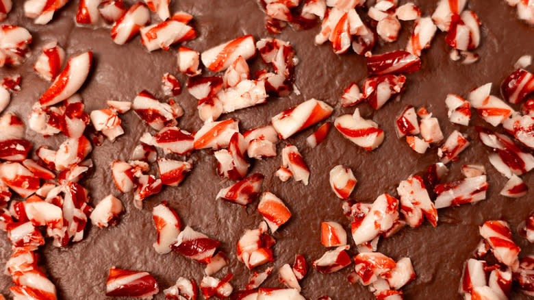 close up of candy canes on the dark chocolate peppermint fudge 