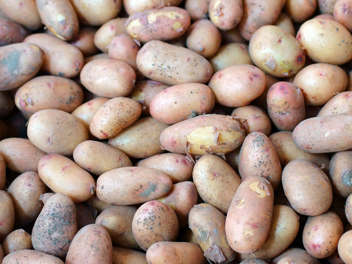 Jersey Royals are known for their delicate, waxy skins  (Getty)