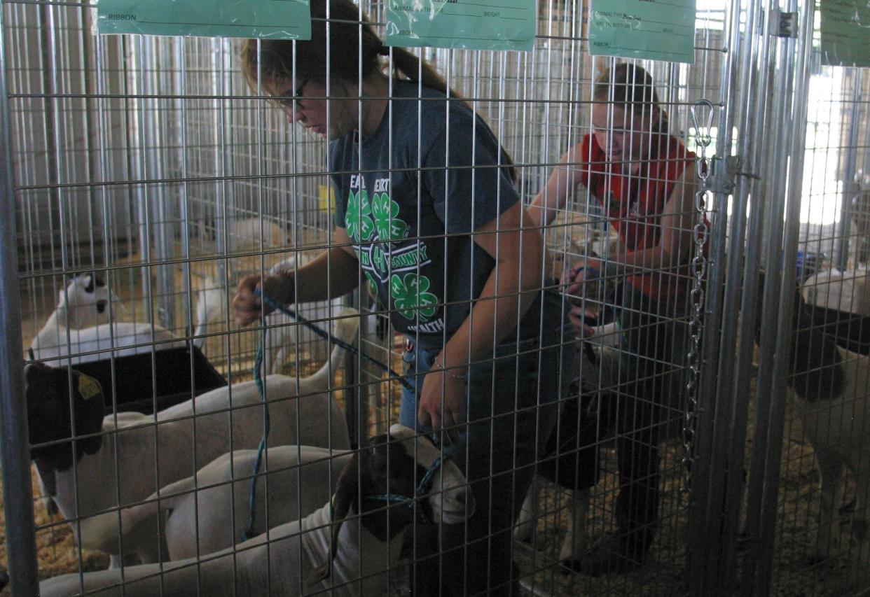 Anna Johnson, left, and Ada Sharp get ready to feed their goats at the Brown County Fair. Each goat is tied in place to ensure each gets their portion of food.