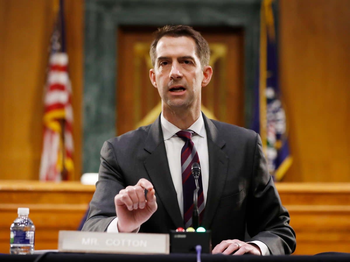 Arkansas Senator Tom Cotton is reportedly under consideration to be Donald Trump’s 2024 running mate  (AP)