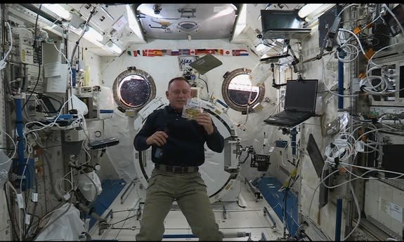 Caption: Cmdr. Barry "Butch" Wilmore holds up freeze-dried cornbread stuffing — one of the Thanksgiving food items he and the rest of the International Space Station crew will enjoy this week.