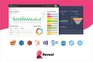 Reveal, the business intelligence SDK that powers easy-to-use data dashboards for consumer and business software applications stands out in short list of self-service analytics products.