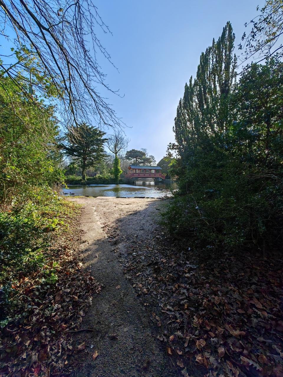 Honor Magic V2 sample photo showing wooden bridge over lake in wooded area at 0.5x zoom