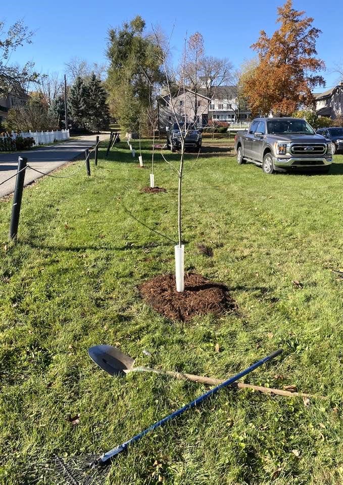 Fifteen trees were planted this month at Manitou Beach as part of a Consumers Energy grant program. The Manitou Beach Historic Renovation Society has received grants for the past 11 years to place trees throughout the lake resort area. Blissfield also was a recipient of funding through the utility company's Community Street and Boulevard Tree Planting grant program.