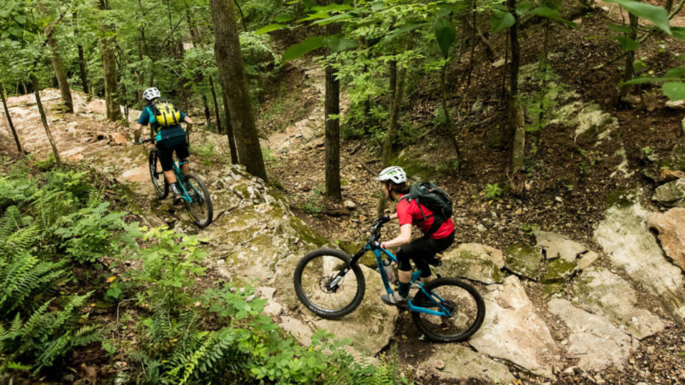 MTB riders on the Coler Mountain Bike Preserve