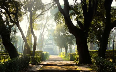 Rome's Villa Borghese at dawn - Credit: Getty