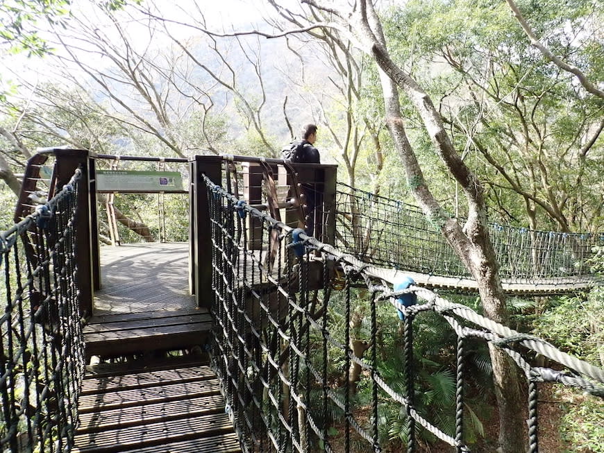 桃園巴陵古道生態園區