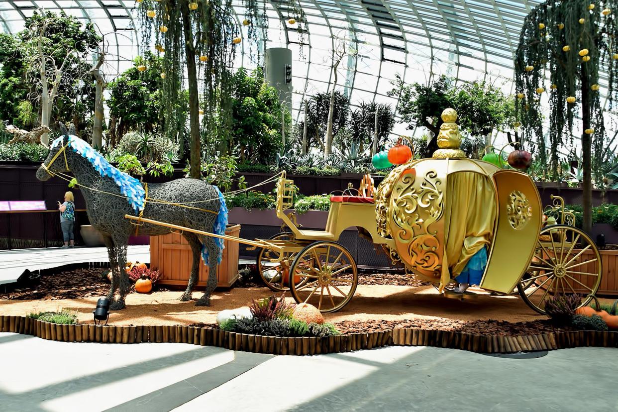 Cinderella’s Pumpkin Carriage at the Flower Dome, Gardens by the Bay during Autumn Harvest floral display.