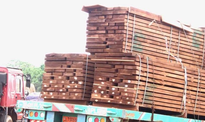 A truck loaded with wood, including timber harvested by the Wagner Group, is driven toward the Central African Republic's border with Cameroon, in early May 2023. / Credit: CBS News