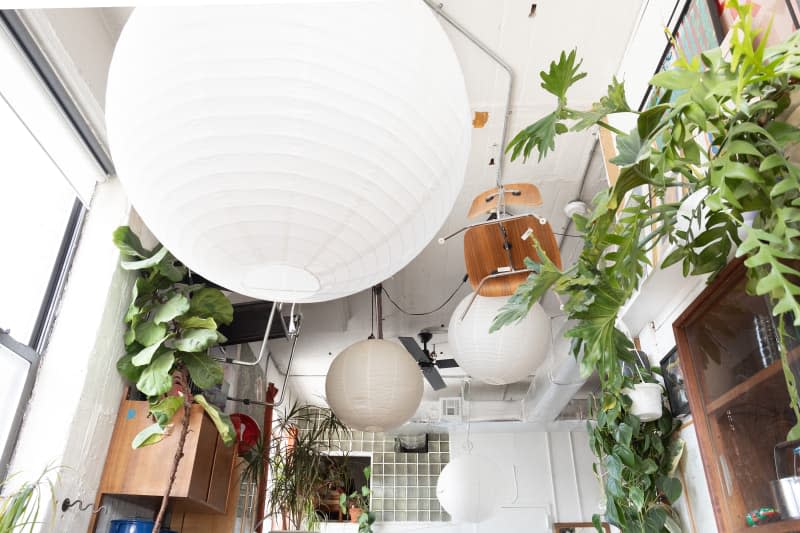 Paper lantern in plant filled apartment.