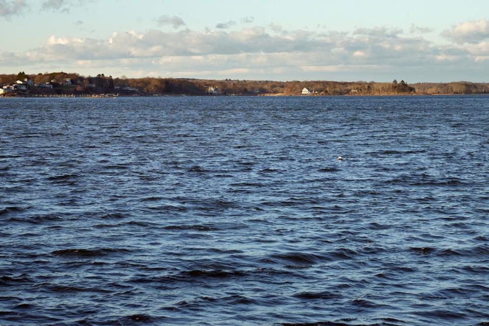 The area of Point Judith Pond off Edith Road in Narragansett where Andrew Van Hemelrijck's proposed oyster farms would be located.
