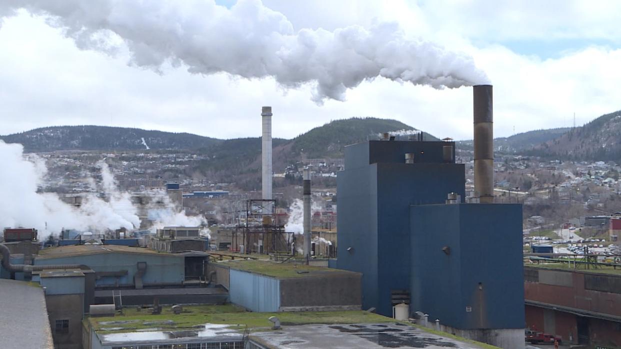 Corner Brook Pulp and Paper, owned by Montreal-based company Kruger, employs about 300 people in Corner Brook.  (Colleen Connors/CBC - image credit)